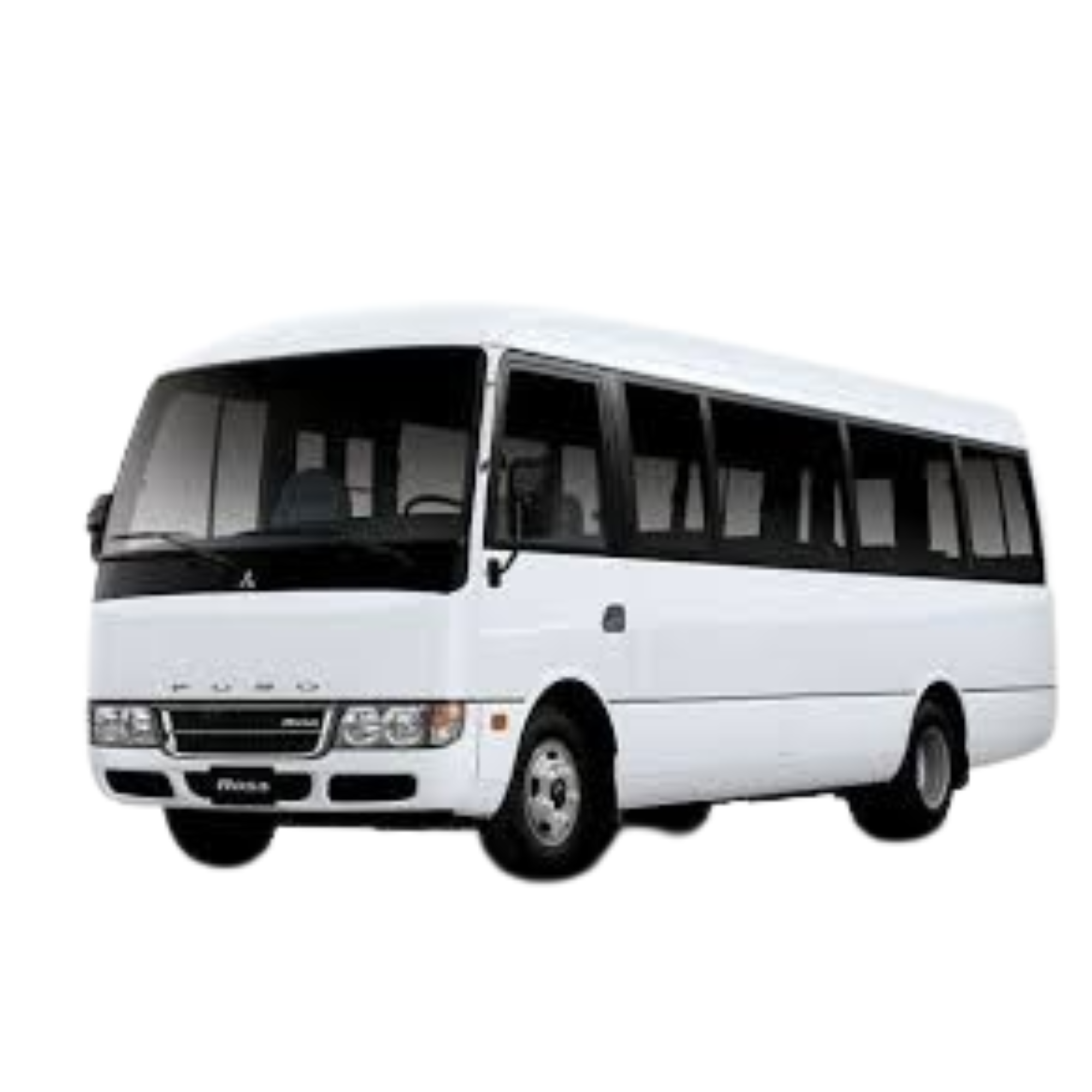 Rosa Bus